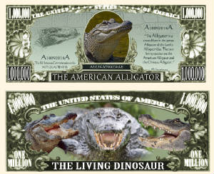 AmericanAlligatorFull.jpg