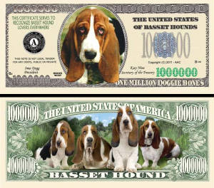 BassetHoundDogBillTJ6.jpg