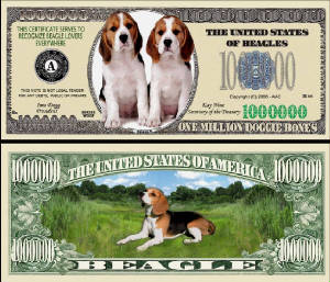 BeagleDogBillTJ6.jpg