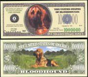 BloodHoundBillTJ6.jpg