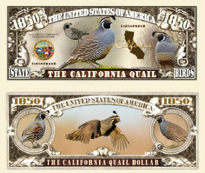 California_Quail_Final.jpg