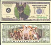 ChihuahuaDogBillTJ6.jpg