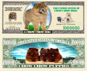 ChowChow_Dog_Final.jpg