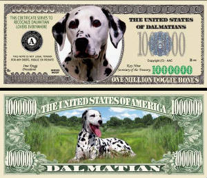 DalmatianDogBillTJ6.jpg