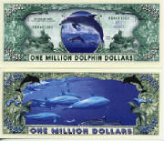 DolphinBillTJ6.jpg