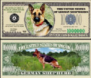 GermanSheperdDogBillTJ6.jpg