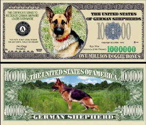 GermanSheperdDogBillTJ6.jpg