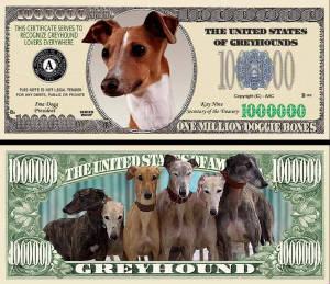 GreyhoundDogBillTJ6.jpg