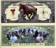 HorsesBillTJ6.jpg