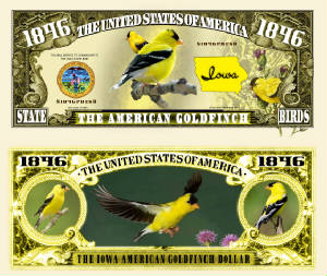 Iowa_America_Goldfinch_Final.jpg