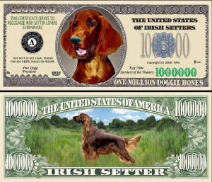 IrishSetterDogBillTJ6.jpg