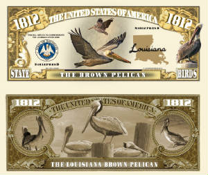 Louisiana_Brown_Pelican_Final.jpg