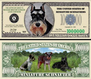 MiniSchnauzerDogBillTJ6.jpg