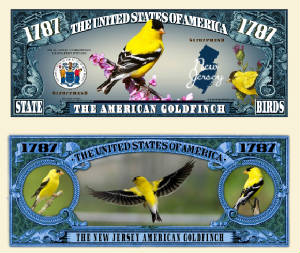 NJ_American_Goldfinch_Final.jpg