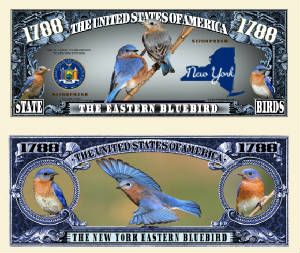 NY_Eastern_Bluebird_Final.jpg