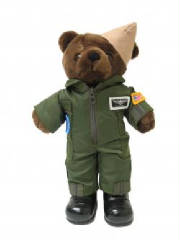 NavyFlightBear.jpg