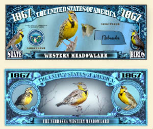 Nebraska_Western_Meadowlark_Final.jpg