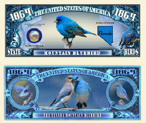 Nevada_Mountain_Bluebird_Final.jpg