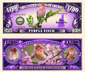 New_Hampshire_Purple_Finch_Final.jpg