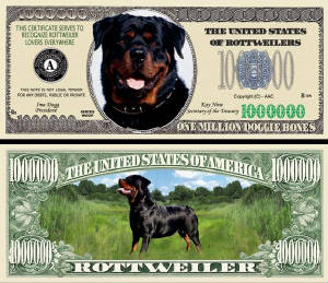 RottweilerDogBillTJ6.jpg