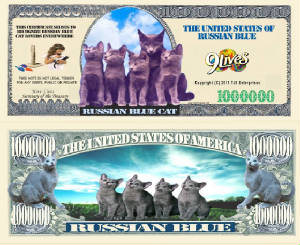 RussianBlueCatBillTJ6.jpg