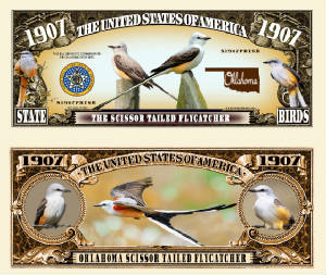 Scissor_Tailed_Flycatcher_Final.jpg