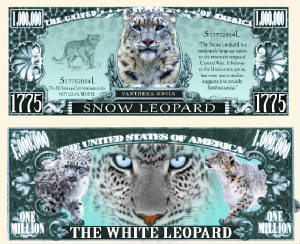 SnowLeopardTJ6Bill.jpg