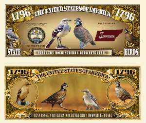 TN_Northern_Mockingbird_Bobwhite_Quail_Final.jpg