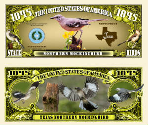 Texas_Northern_Mockingbird_Final.jpg