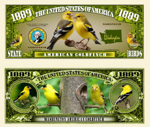 Washington_American_Goldfinch_Final.jpg