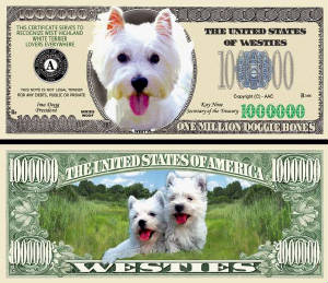 WestieDogBillTJ6.jpg