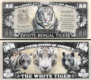 WhiteBengalTigerBillTJ6.jpg