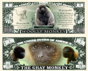 WoollyMonkeyFull.jpg