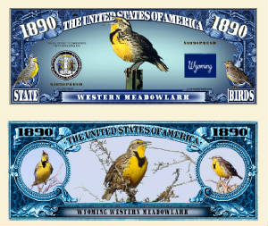 Wyoming_Western_Meadowlark_Final.jpg