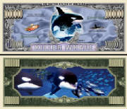 killerwhalebilltj6.jpg