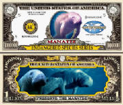 manateebilltj6.jpg