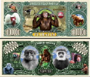 monkeybusinessbilltj6.jpg