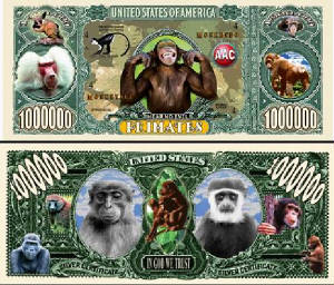 monkeybusinessbilltj6.jpg