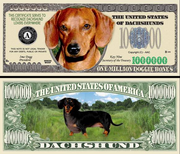 DOLLAR BILLquot;. You get 500 500 dollar bill. DOLLAR BILLquot;. You get 500