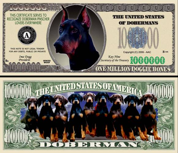 You get 500 quot;Doberman Dogquot;