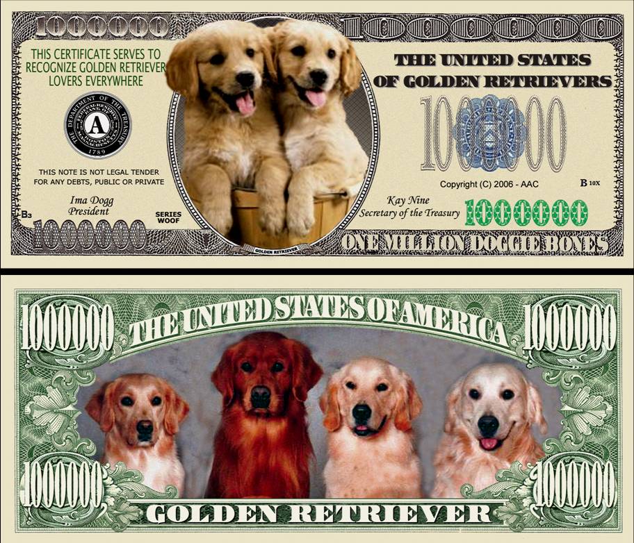 bills dogs a golden retriever dollar bill 500 bills ebay bills dogs a golden retriever dollar bill 500 bills ebay