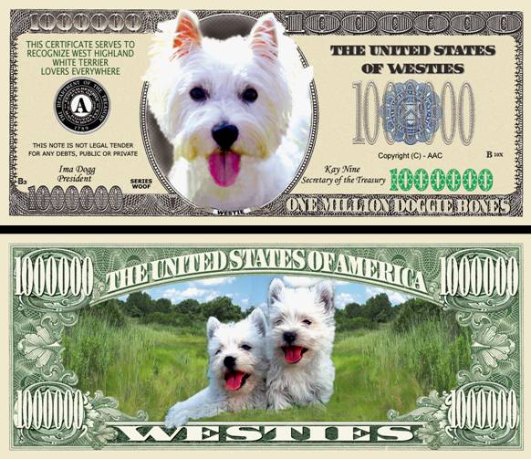 westie pictures. You get 2 quot;Westie Dogquot; Dollar